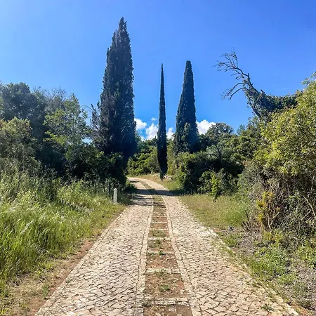 ヴィラ Quinta Dos Ciprestes